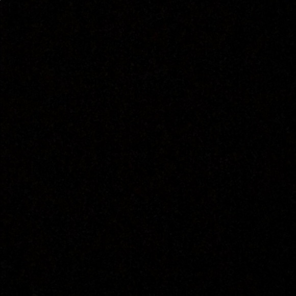 Meet your Posher, Daphne - Picture 1 of 1